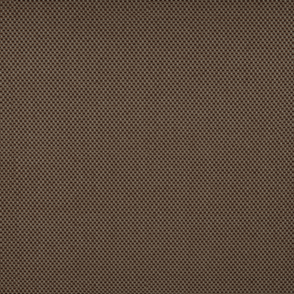 Caravaggio-Pecan